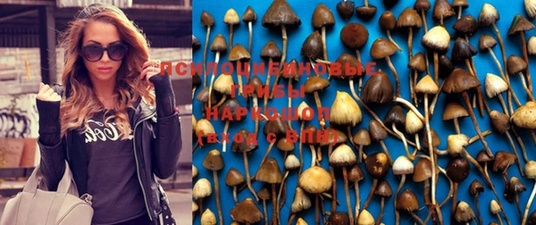 меф Володарск