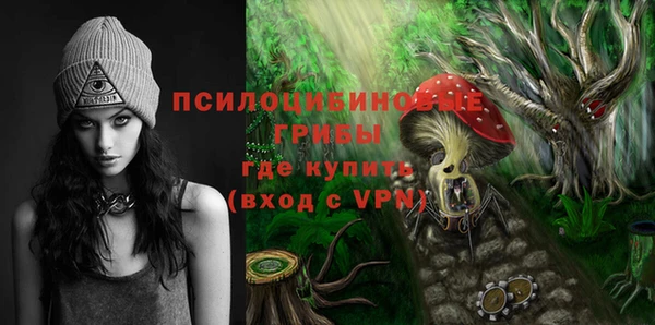 ECSTASY Верея
